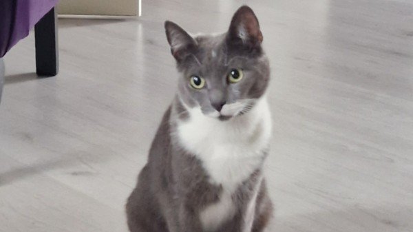 Luna