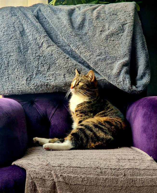 Nala