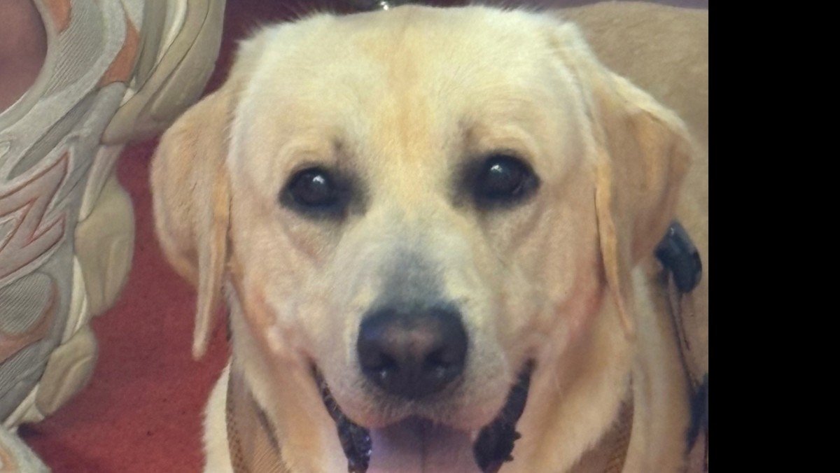Mylo