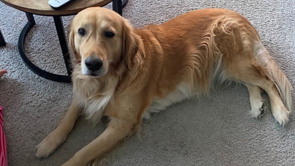Sammie