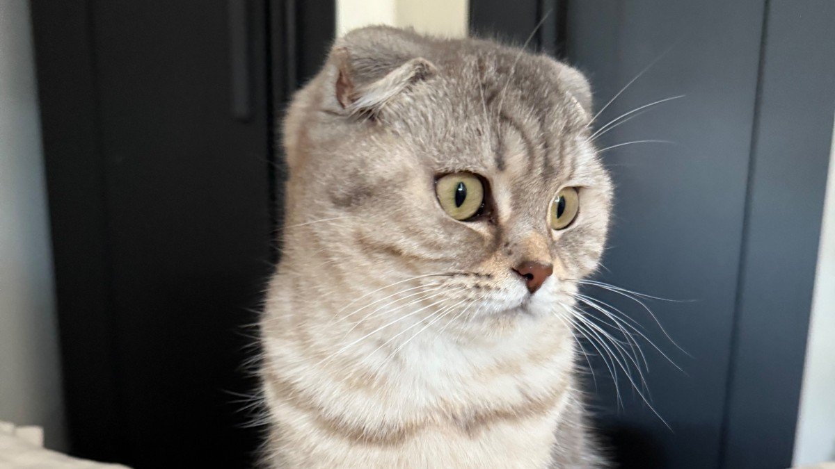 Maeva