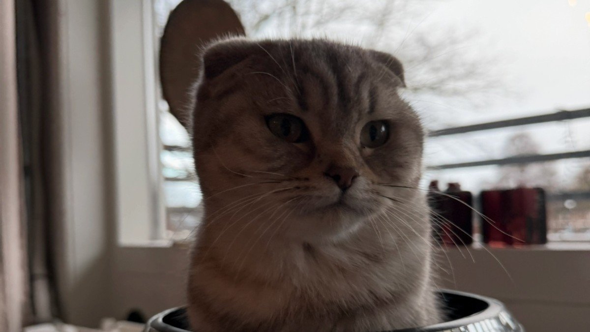 Maeva