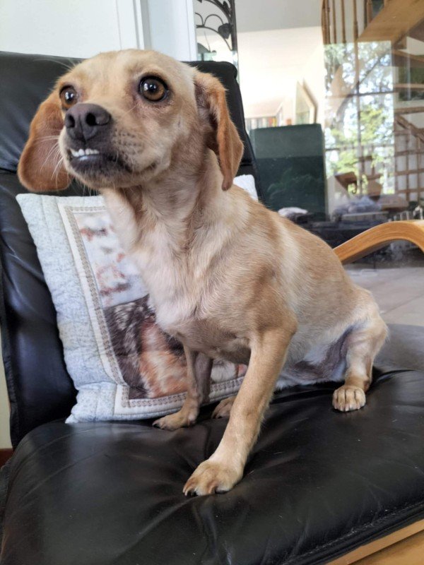 Coco