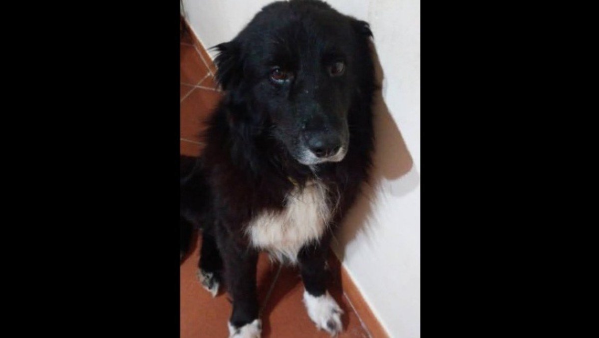 Nerone