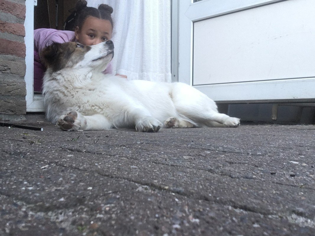 Sofia