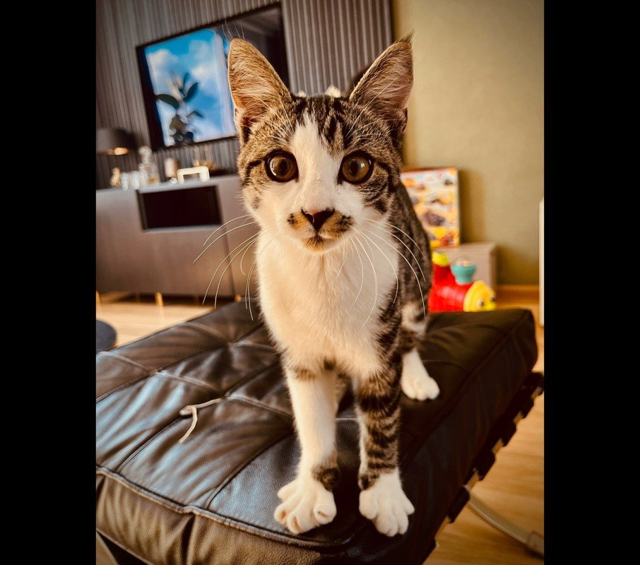 Coco