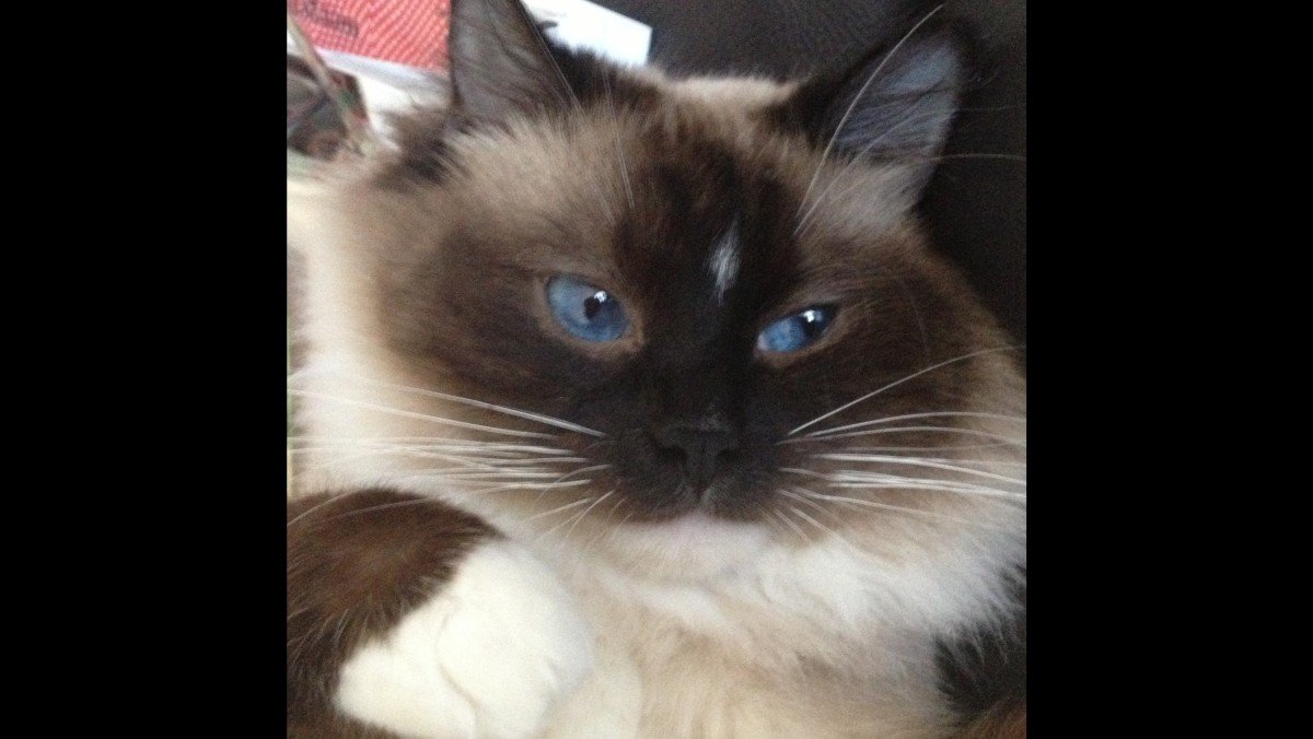 Luna