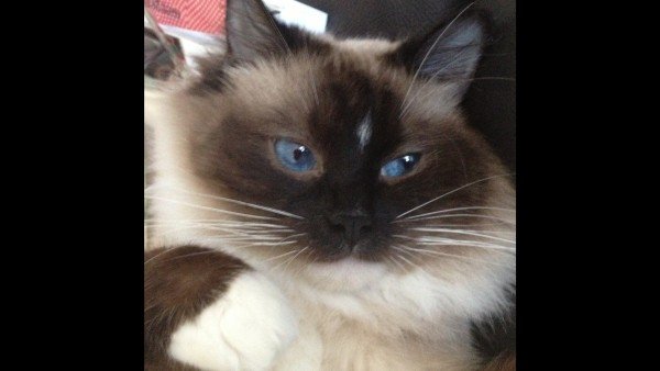 Luna
