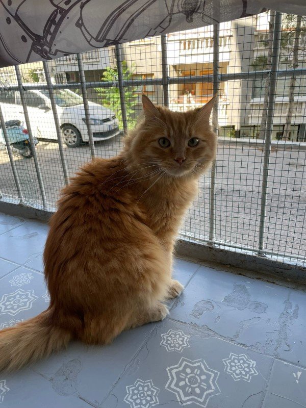 Leo