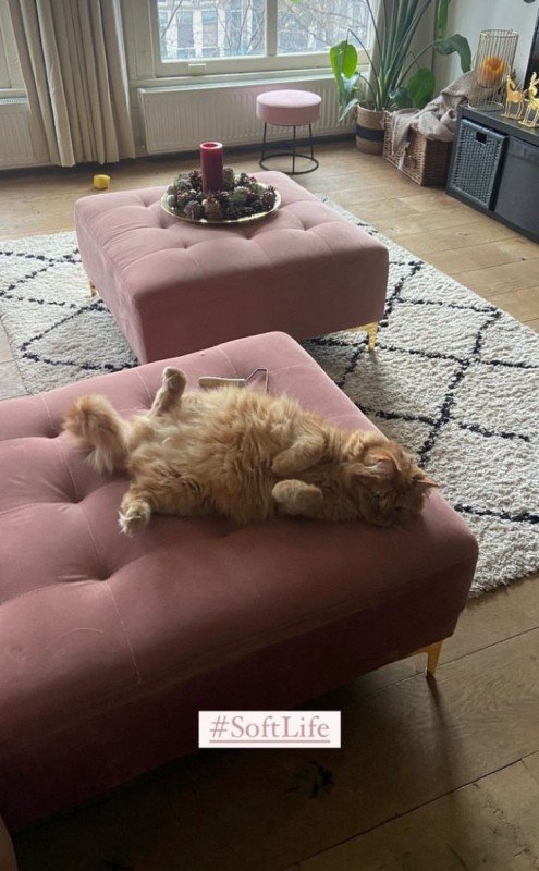 Leo