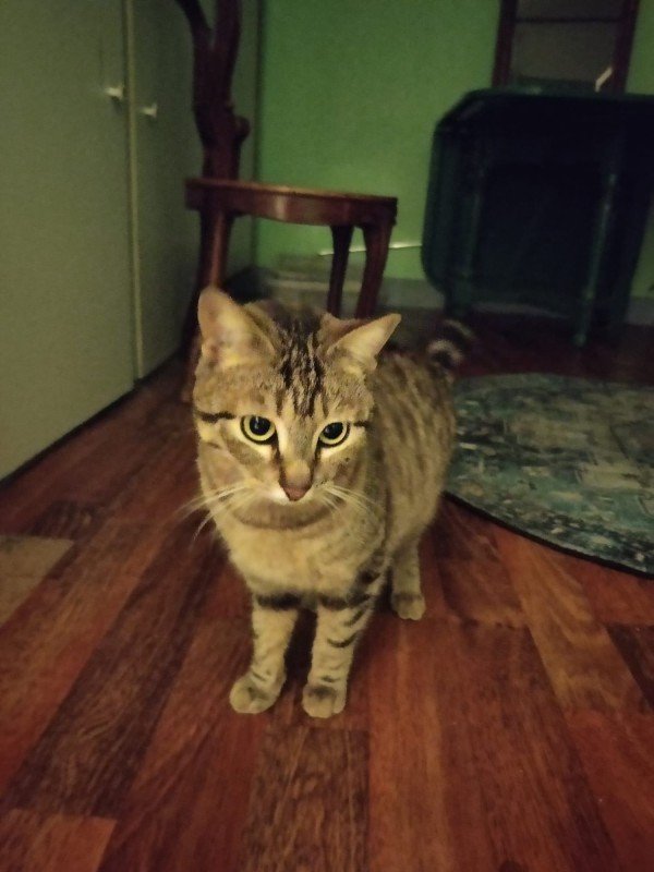 Keira