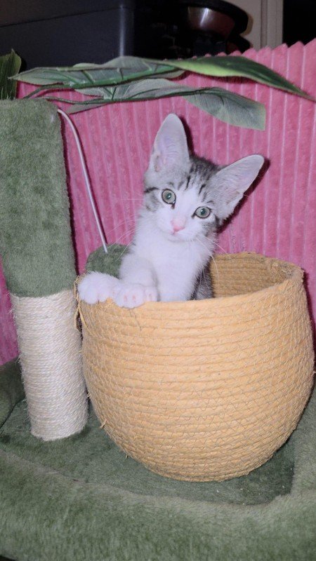 Sunbrero