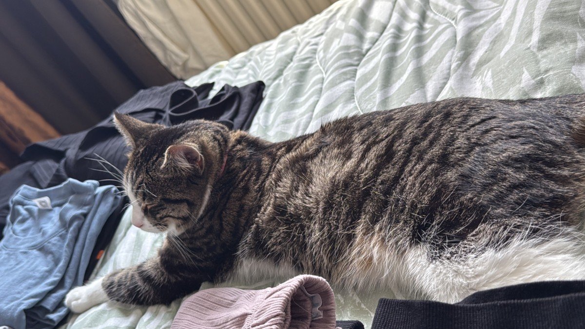 Nayla