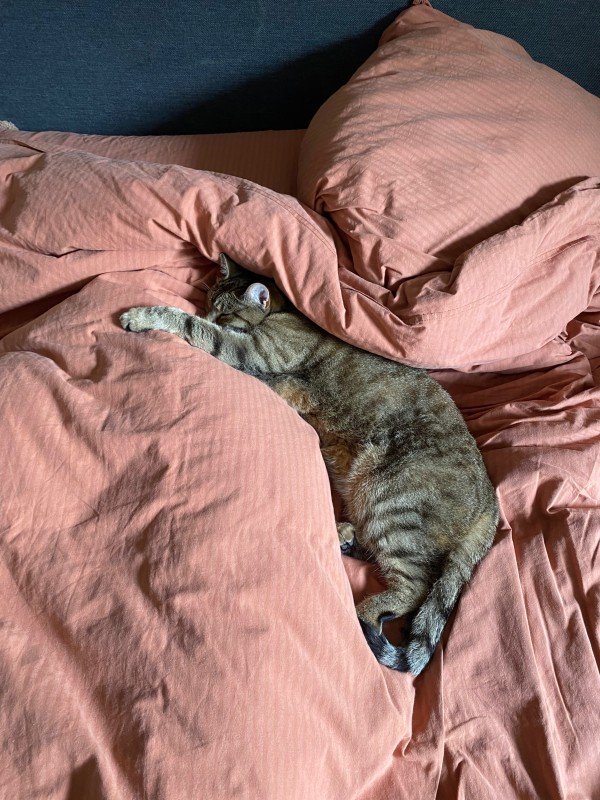 Coco
