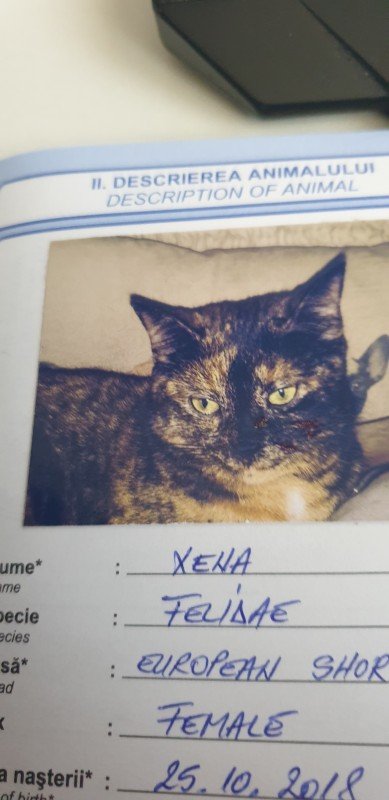 Xena