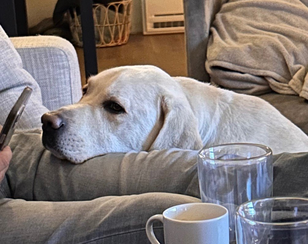 Cooper