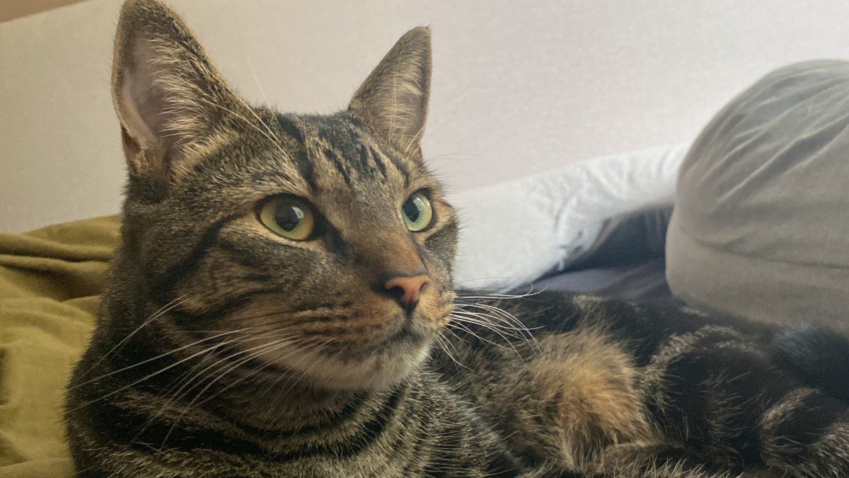 Haruki