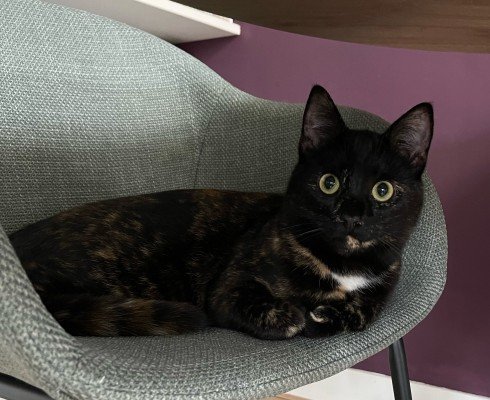 Penny