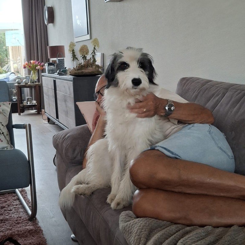 Sofia