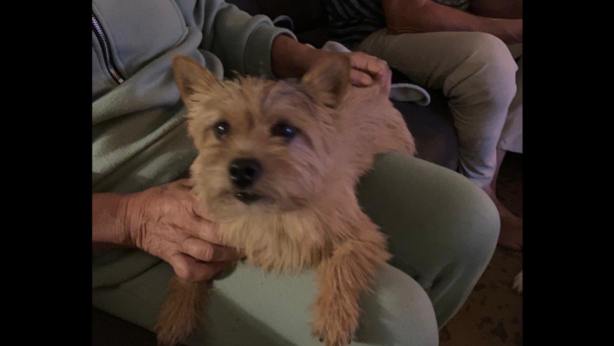 Beannie
