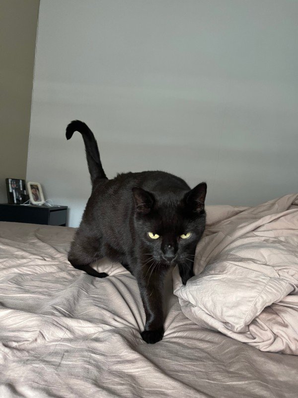 Pablo