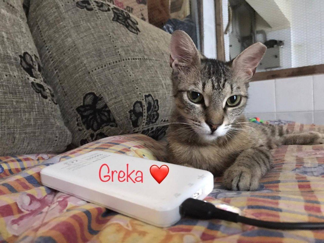 Greka