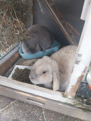 Snuffie + Woezel