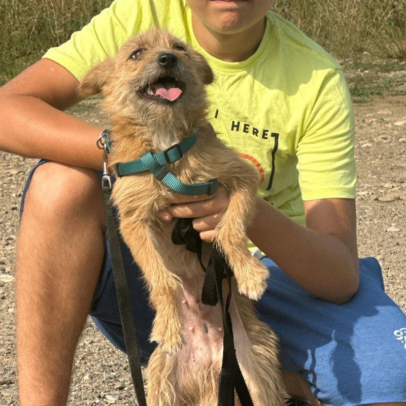 Sunny
