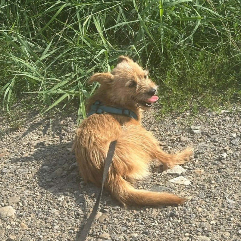 Sunny