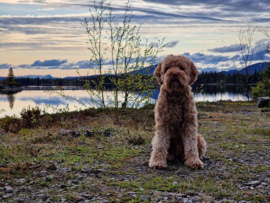 Charlie