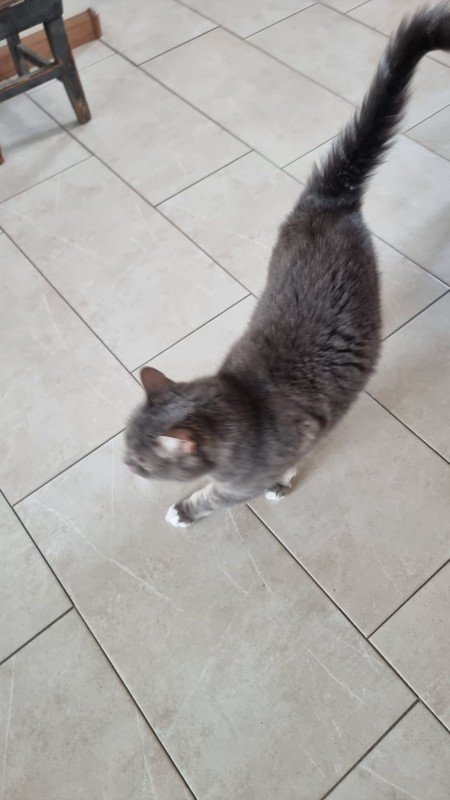 Micky