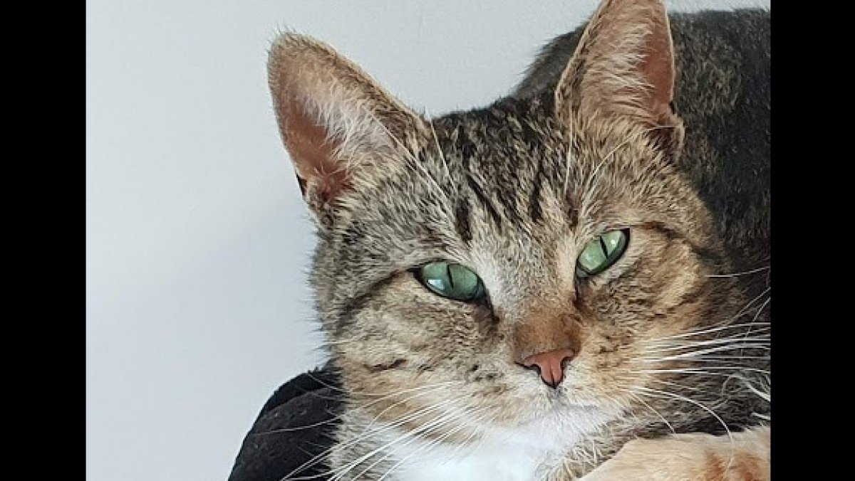 Milo