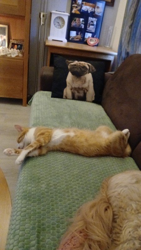 Max