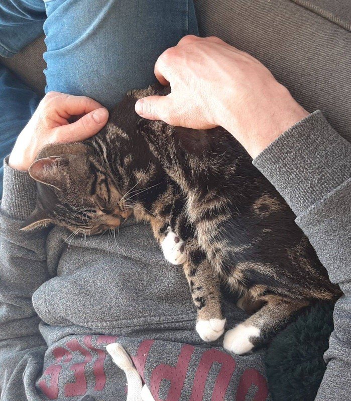 Simba