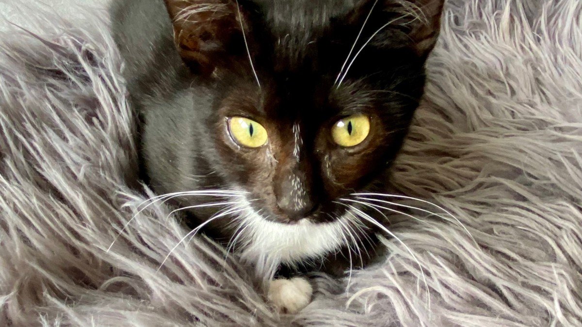 Greta