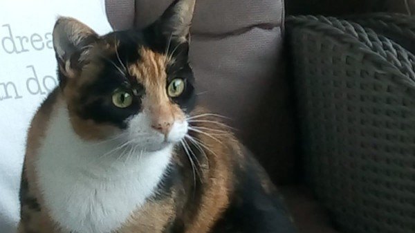 Bella