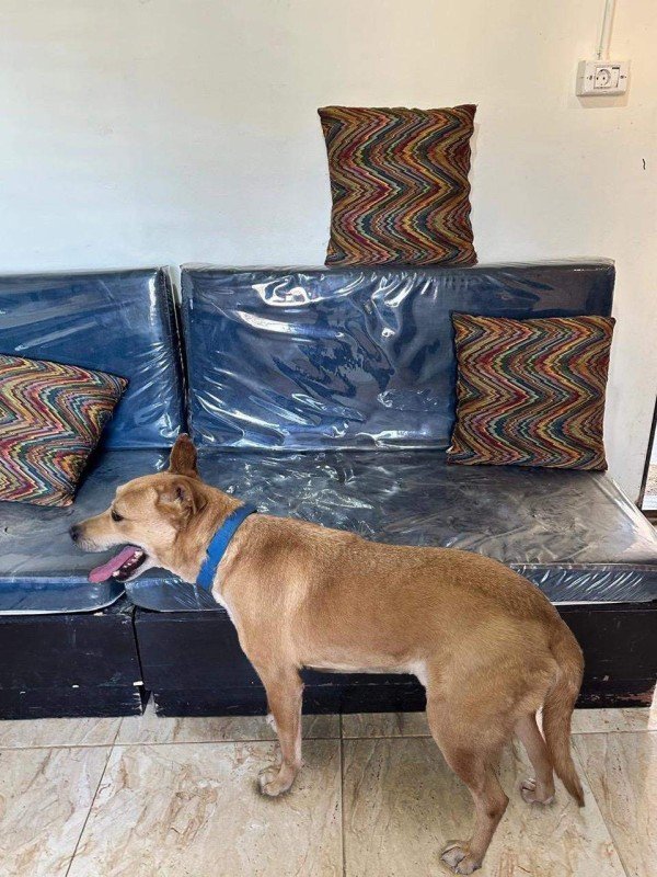 Max