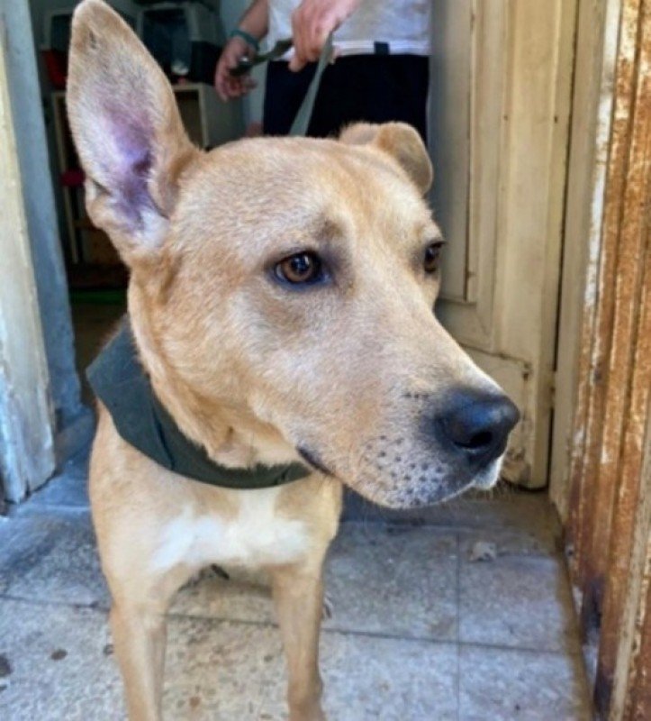 Max