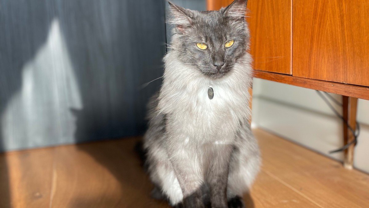 Abe