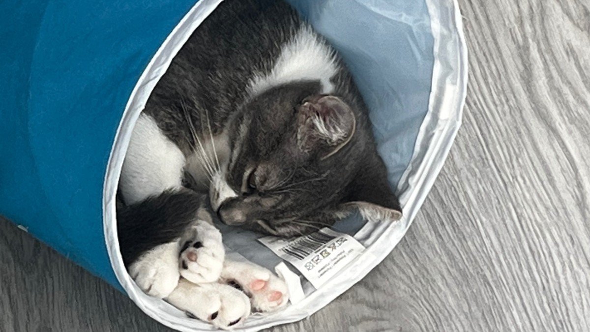 Luna