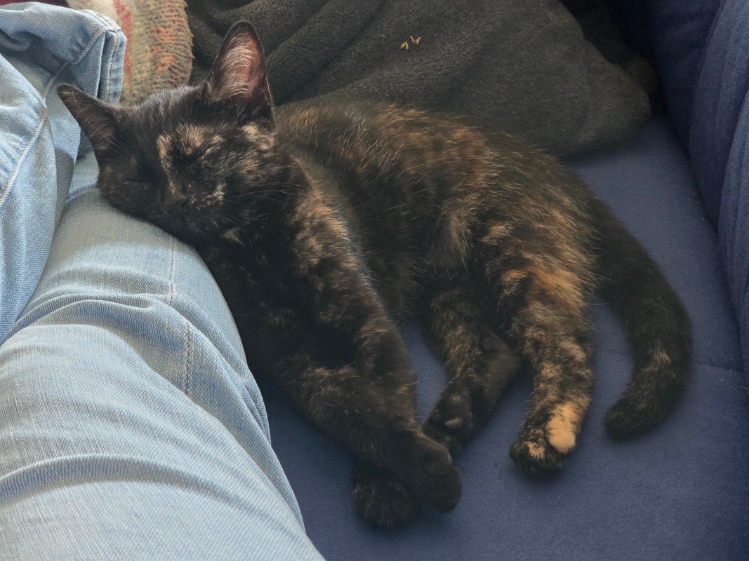 Lola