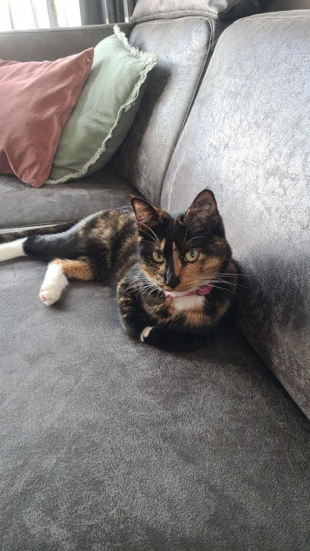 Lola