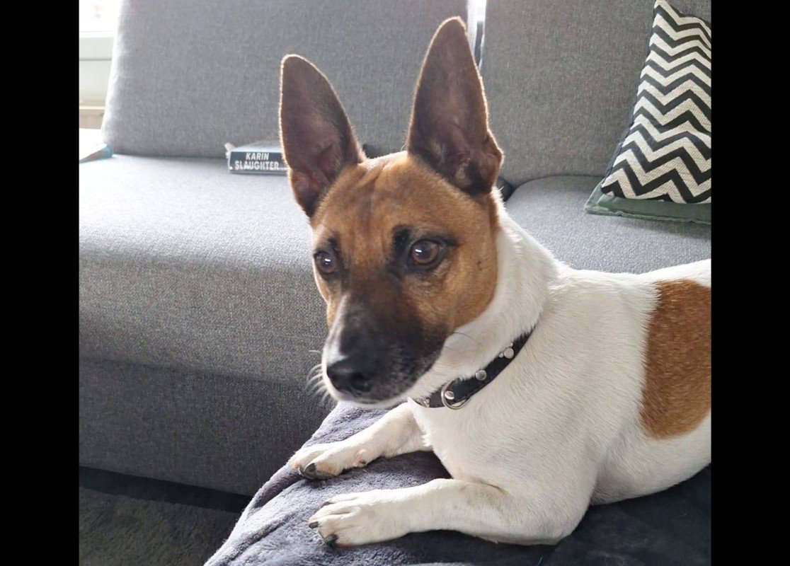Beau