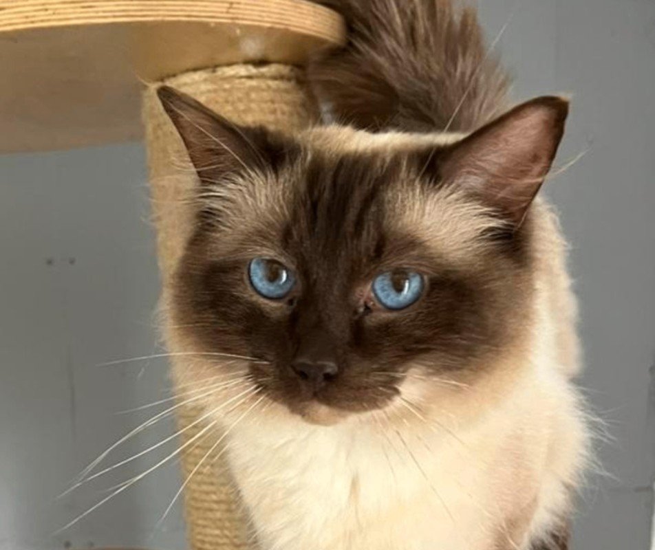 Ted