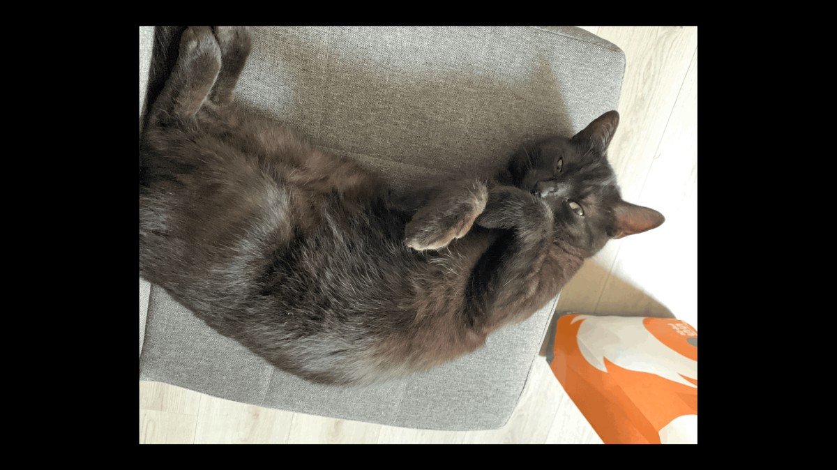 Coco Mimi