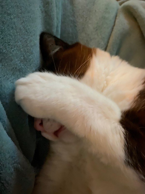 Marley