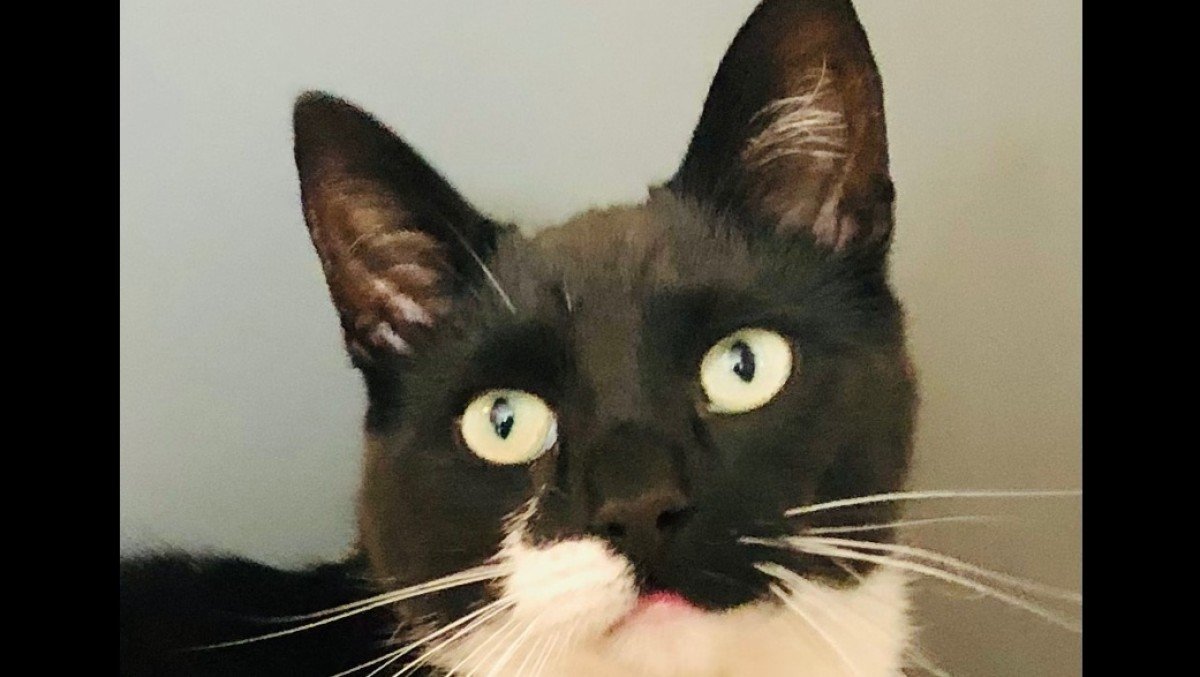 Tim