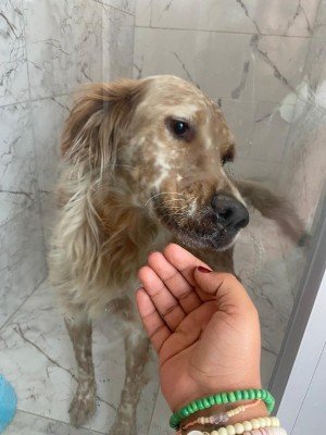 Peanut