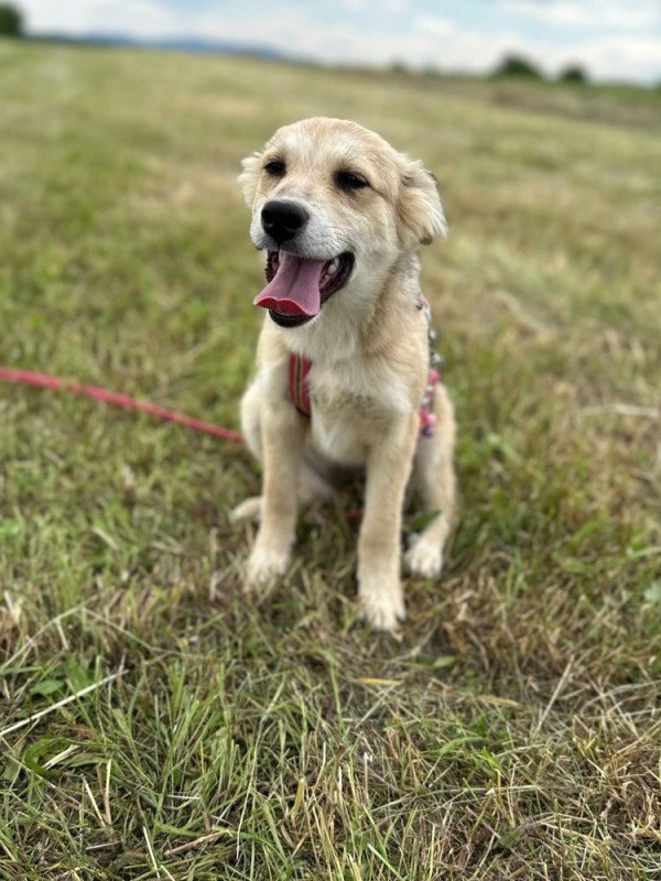 Lola Emma