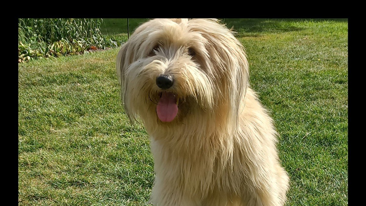Loek